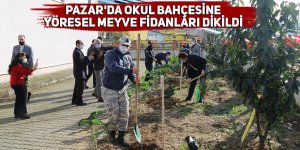 Pazar'da okul bahçesine yöresel meyve fidanları dikildi