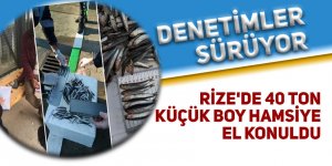 Rize'de 40 ton küçük boy hamsiye el konuldu