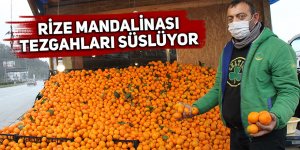 Rize mandalinası tezgahları süslüyor