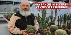 Çay bahçesini sökerek sera kurdu