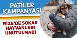 Rize'de sokak hayvanları 'Patiler kampanyası' ile unutulmadı