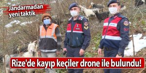 Rize'de kayıp keçiler drone ile bulundu!