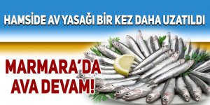 Hamside av yasağı bir kez daha uzatıldı