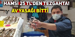 Av yasağı bitti; hamsi 25 TL'den tezgahta!