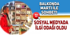 Balkonda martı ile sohbet sosyal medyada ilgi odağı oldu