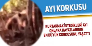 Kurtarmak istedikleri ayı onlara hayatlarının en büyük korkusunu yaşattı