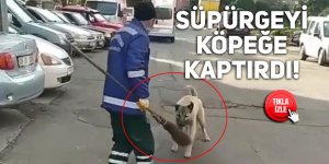 Süpürgeyi köpeğe kaptırdı!