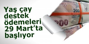 Yaş çay destek ödemeleri 29 Mart’ta başlıyor