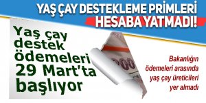 Yaş çay destekleme primleri hesaba yatmadı!