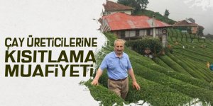 Çay üreticilerine kısıtlama muafiyeti