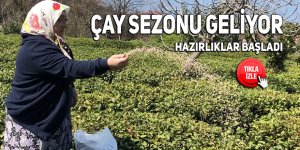 Rize'de yaş çay sezonu öncesi hazırlıklar başladı