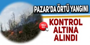 Pazar'da orman yangını kontrol altına alındı