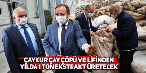 ÇAYKUR çay çöpü ve lifinden yılda 1 ton ekstrakt üretecek