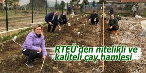 RTEÜ'den nitelikli ve kaliteli çay hamlesi