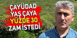 ÇAYÜDAD, yaş çaya yüzde 30 zam istedi