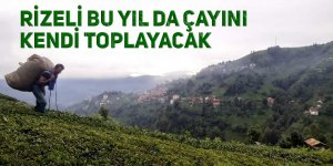 Rizeli bu yıl da çayını kendi toplayacak