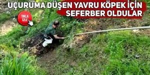 Uçuruma düşen yavru köpek için seferber oldular