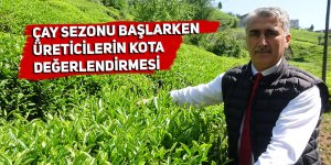 Çay sezonu başlarken üreticiler kotadan memnun