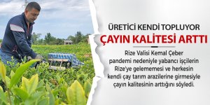 Rizeli kendi çayını kendi topladığı için kalite arttı