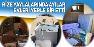 Rize yaylalarında ayılar evleri talan etti