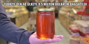 Türkiye'den 40 ülkeye 9,5 milyon dolarlık bal satıldı