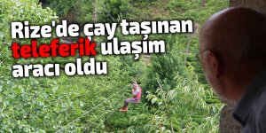 Rize'de çay taşınan teleferik ulaşım aracı oldu