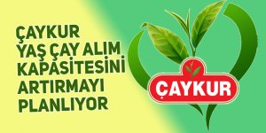 ÇAYKUR yaş çay alım kapasitesini artırmayı planlıyor