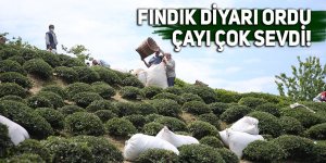 Fındık diyarı Ordu çayı çok sevdi!