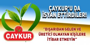 Çaykur'u da isyan ettirdiler!