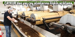 ÇAYKUR'dan yaş çay alımlarına ilişkin açıklama