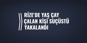 Rize'de yaş çay çalan kişi suçüstü yakalandı