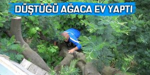 Düştüğü ağaca ev yaptı