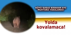 Köyü susuz bırakan ayı muhtara yakalandı!