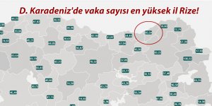  D. Karadeniz'de vaka sayısı en yüksek il Rize!