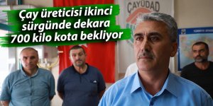 Çay üreticisi ikinci sürgünde dekara 700 kilo kota bekliyor