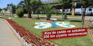 Rize'de cadde ve sokaklar 200 bin çiçekle renklenecek