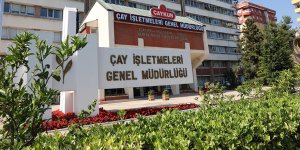 Çaykur ilk gün bin ton çay aldı