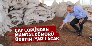 Çay çöpünden mangal kömürü üretimi yapılacak