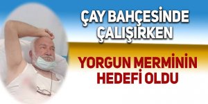 Çay bahçesinde çalışırken yorgun merminin hedefi oldu