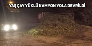 ÇAY YÜKLÜ KAMYON YOLA DEVRİLDİ