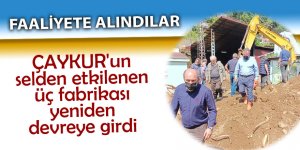 ÇAYKUR'un selden etkilenen üç fabrikası yeniden devreye girdi