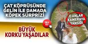 Çat köprüsünde gelin ile damada köpek sürprizi