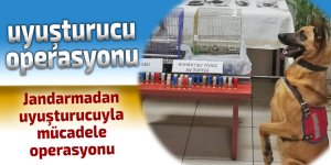 Rize'de uyuşturucu operasyonları: 3 gözaltı