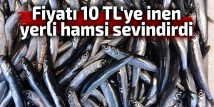 Fiyatı 10 TL'ye inen hamsi sevindirdi