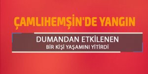 Çamlıhemşin'de yangın: 1 ölü