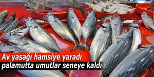 Av yasağı hamsiye yaradı, palamutta umutlar seneye kaldı