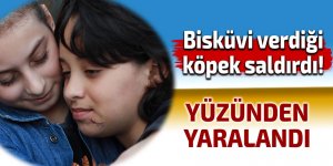 Bisküvi verdiği köpek saldırdı!