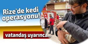 Rize'de kedi operasyonu!