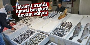 İstavrit azaldı, hamsi bereketi sürüyor