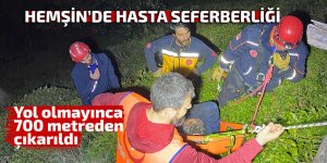 Hemşin'de hasta 700 metreden çıkarıldı